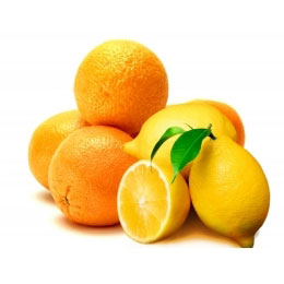 柑橘类水果加工成套设备